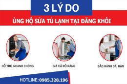 sua-tu-lanh-dang-khoi